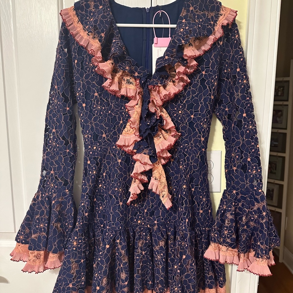 Celia B Joie Dress